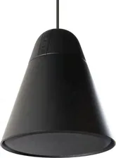 Колонки Apart P60DT-BL 1.0 (моно-колонка) Черный
