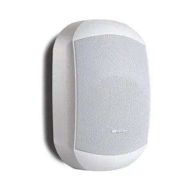MASK6CT-W Apart Громкоговоритель