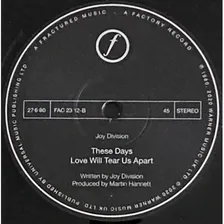 Виниловая пластинка Joy Division, Love Will Tear Us Apart (0190295269449)